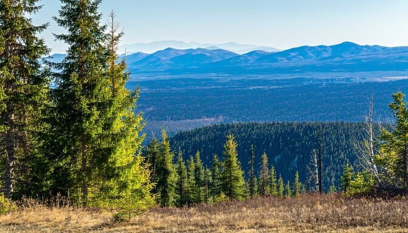Scenic view of the mountains above Sandpoint, Idaho where Sandpoint Dobermans is located. Scenic view of the mountains above Sandpoint, Idaho where Sandpoint Dobermans is located.