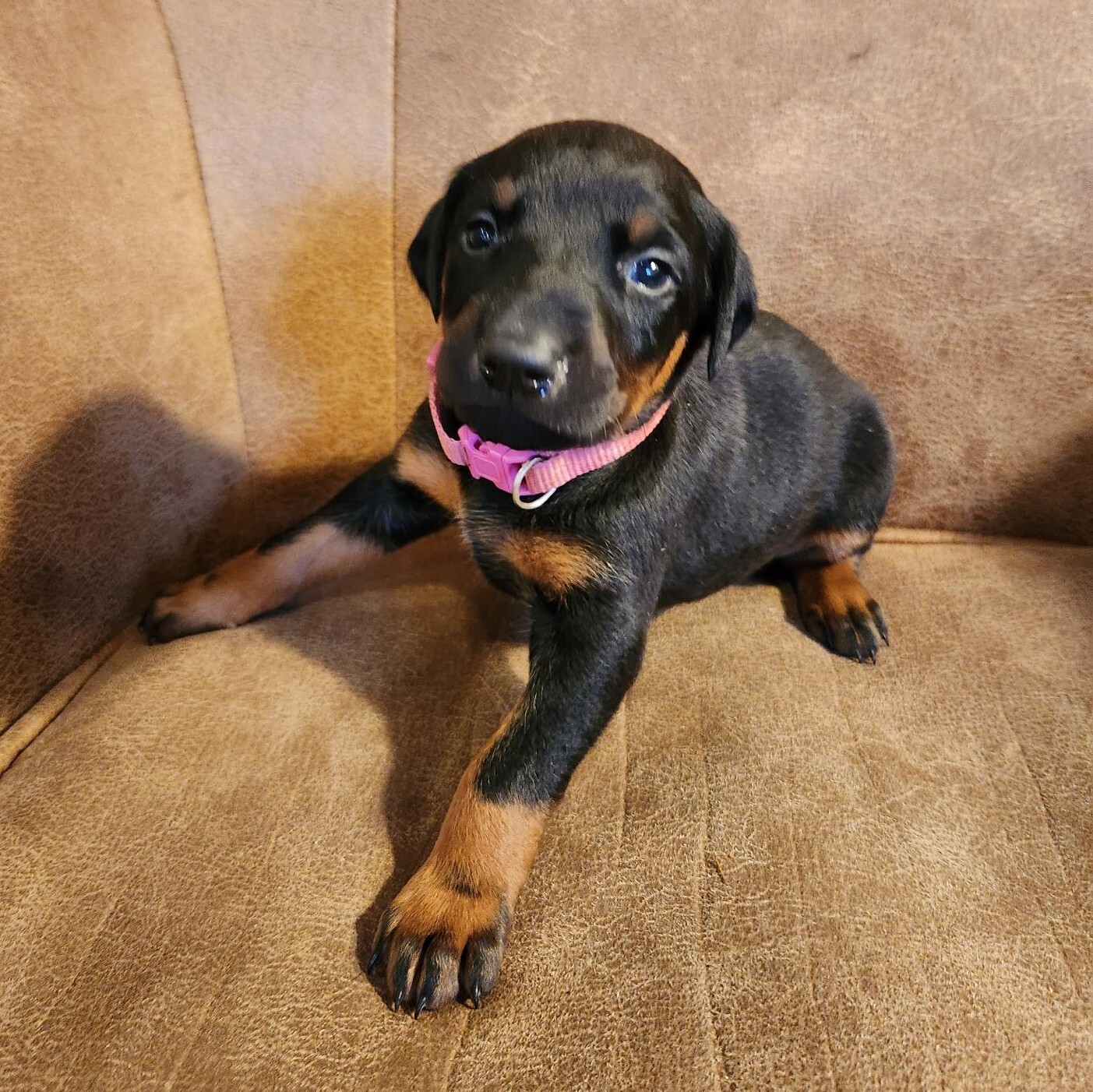 pinky