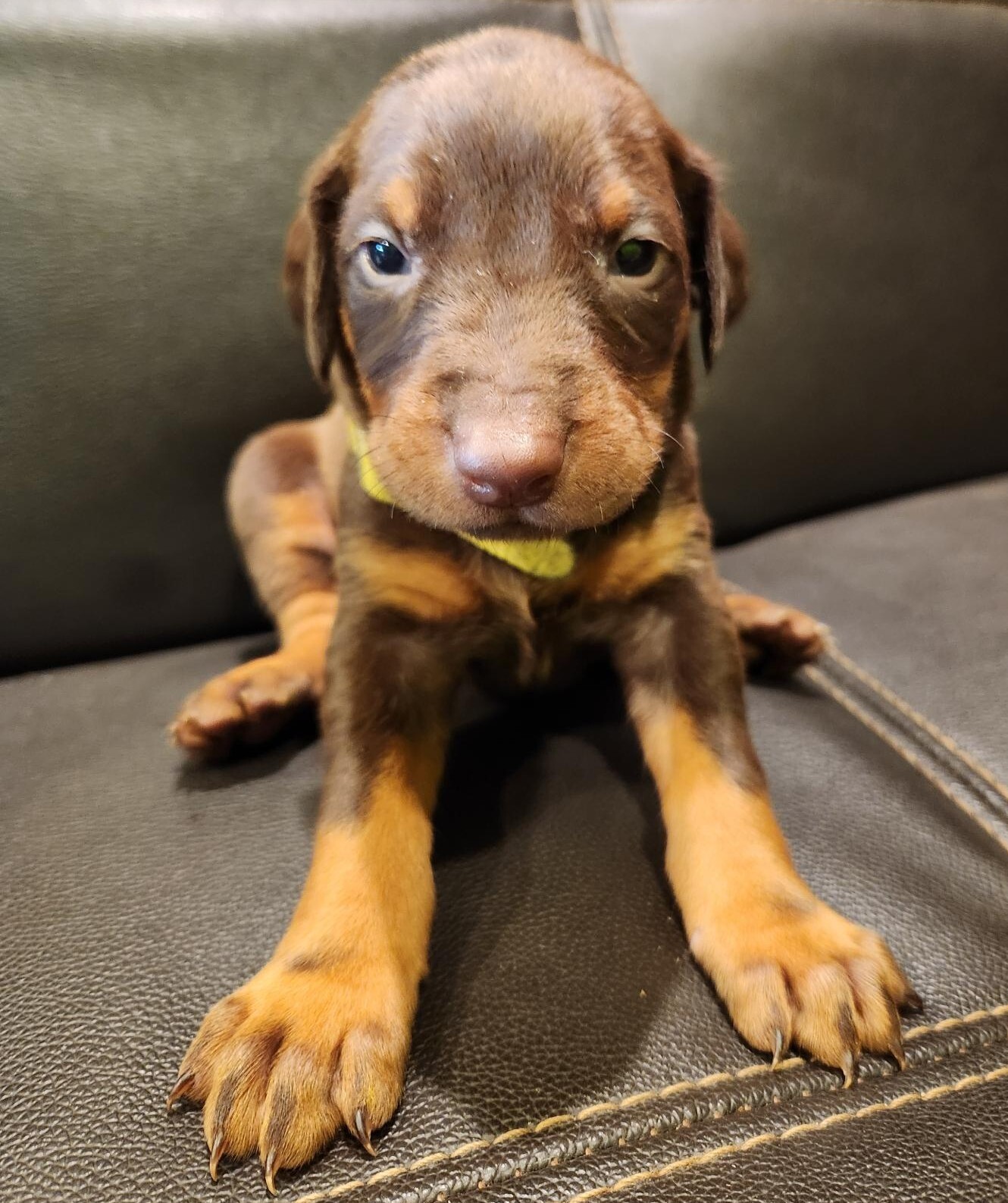 signal-2025-10-23-115923-1